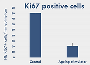 Ki67-2