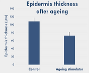 Skin thickness ageing-2