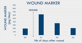 Wound healing marker